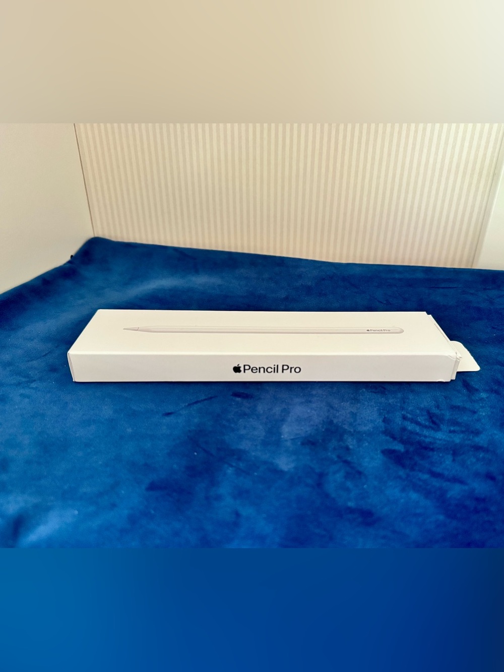 Apple Pencil Pro — BOX ONLY